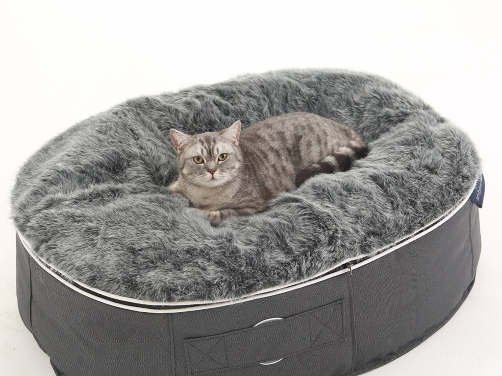Pet Lounge