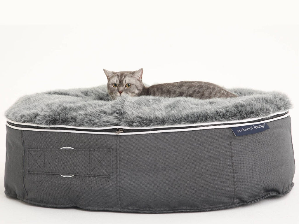 Pet Lounge