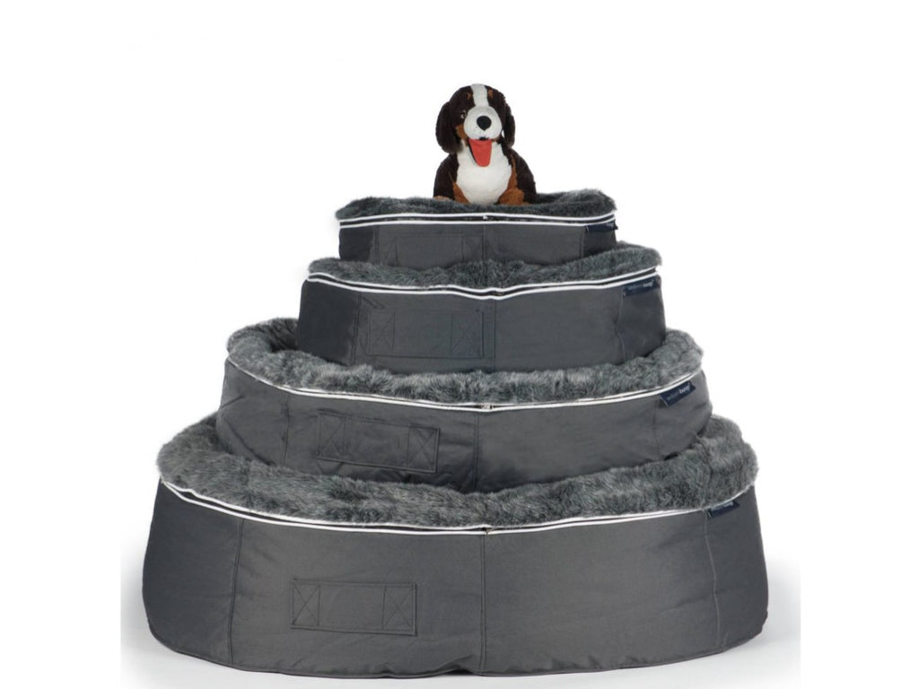 Pet Lounge