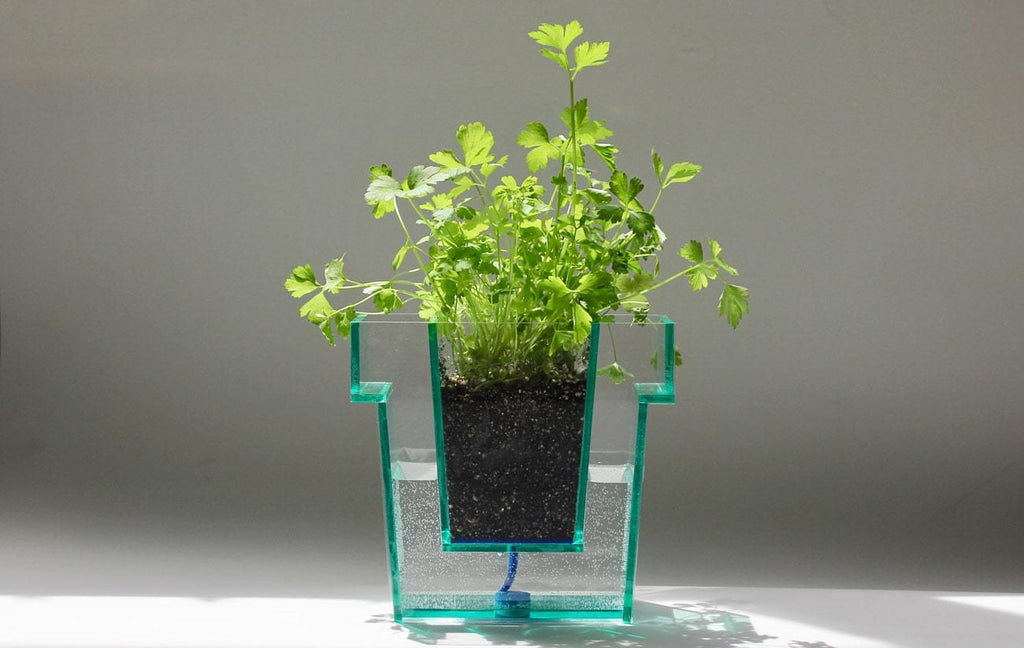 Self Planter