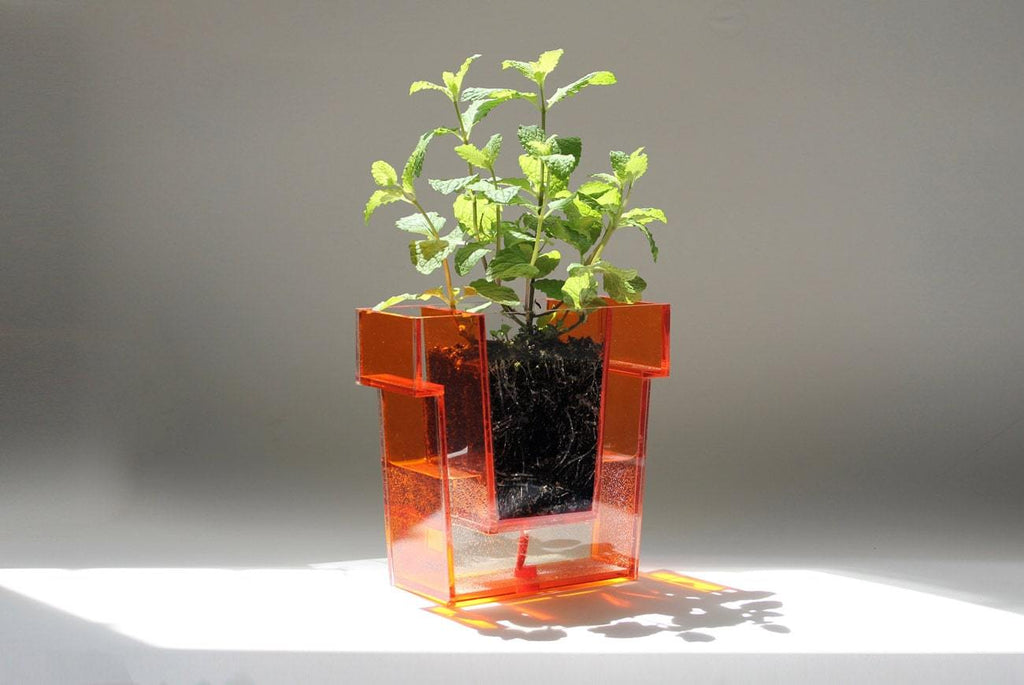 Self Planter