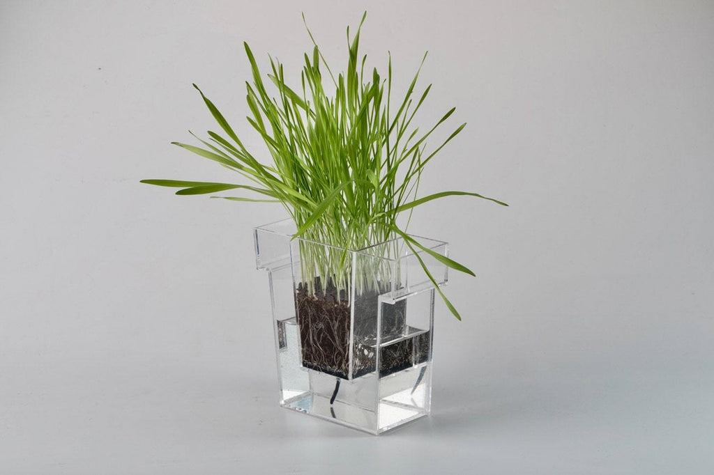 Self Planter